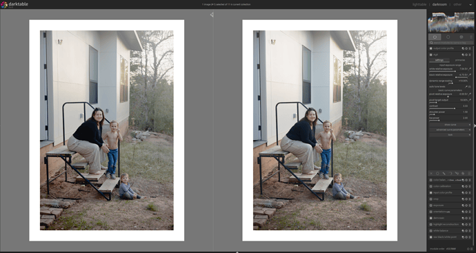 AGX w/ auto-pickers, vs AGX custom W/B relative exposures