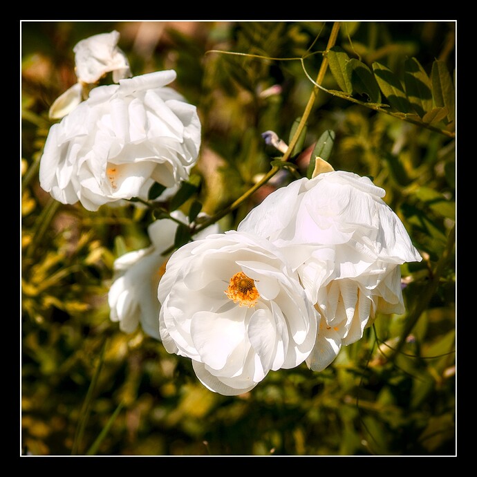 P1010645_02