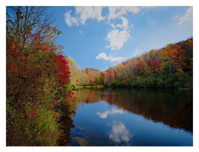 2025-10-18 11.38.12 - Autumn in Appalachian_PlayRAW