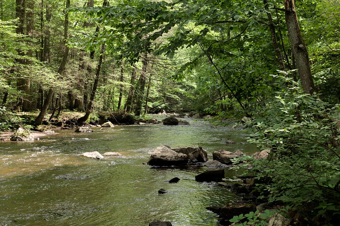 Green yellowish cast _6I_8176_dt_01