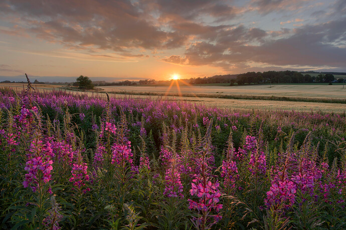 IMGP2425-2429-HDR (jpegli)
