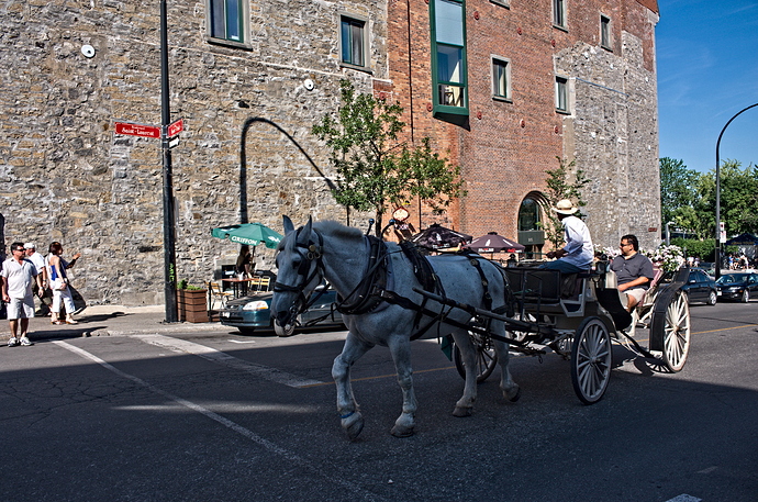 blue_horse-LocalClarity100