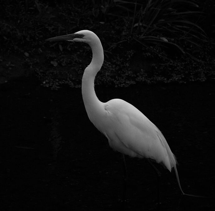 DSC_6163