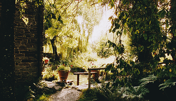 garden_pro_400h_crystal_archive_typeii_1.0cpl_001preflash_0Y0M_015pe