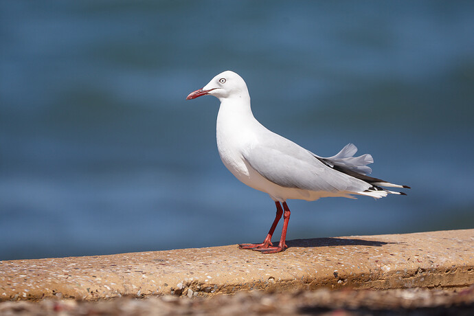 2026-01-09_14-38-05.70_DSC0424