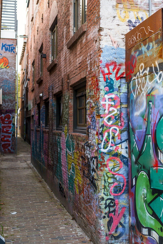20260714-213211-Z50_2-_DSC1384-0.NEF