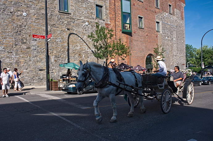 blue_horse-LocalClarity50