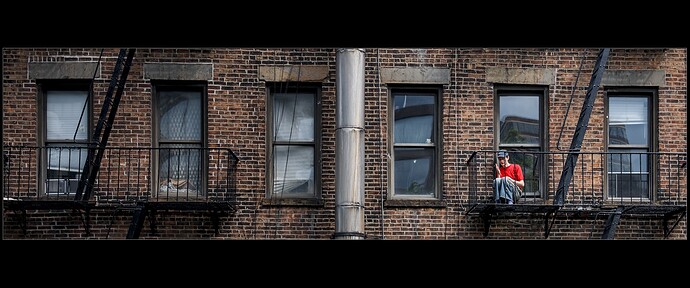 NZF_6199