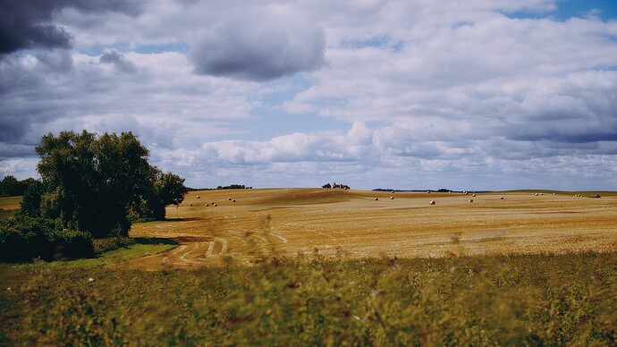 DSCF111514