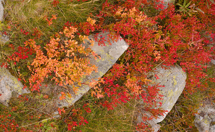 20250913_2025-09-13 nendaz_0091