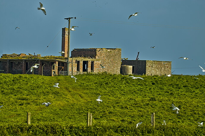 Keep it - 20250523-1716-9868-2025.05.23