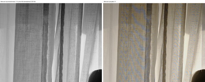 s5ii_moire_mono_vs_plate