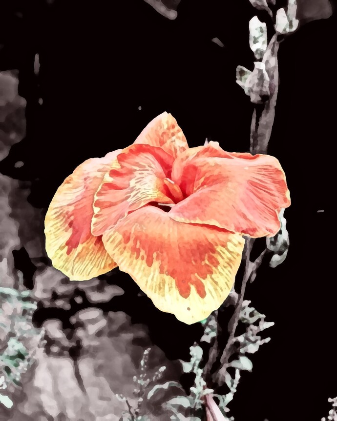 Home - Flowers_P1020514 _01