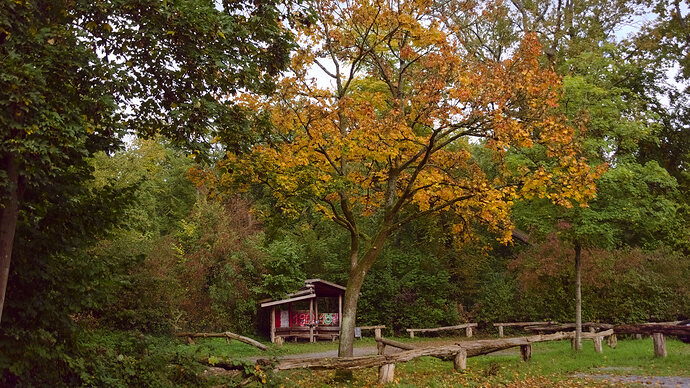 DSC01600_hd2