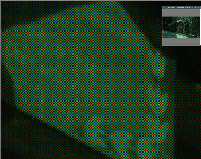 2-sensor-view-with-bayer-pixels