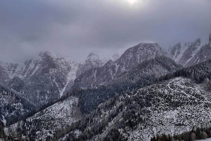 DSC_1610-GIMP (Jpegli)