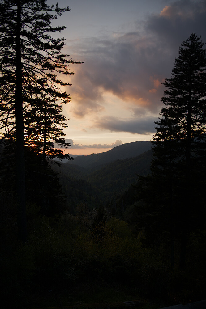 P1089038