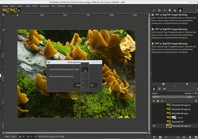 vokoscreenNG-2025-08-26_23-19-28-0003