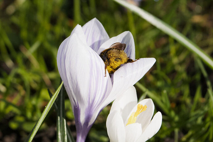 20260315-120340-DSC_1079-0.NEF