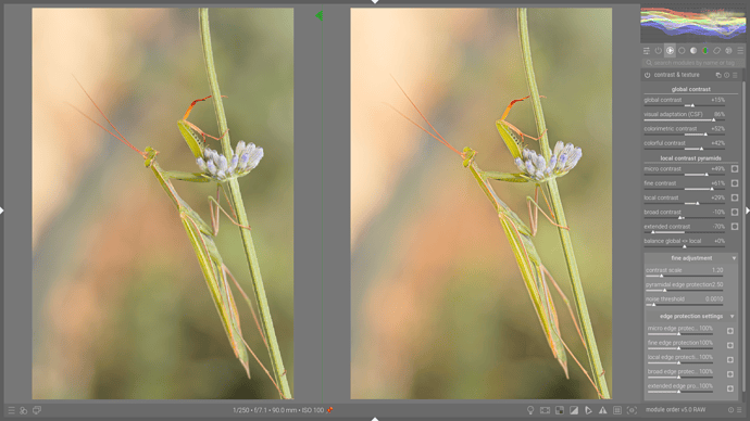 Capture d’écran du 2026-03-05 23-00-33