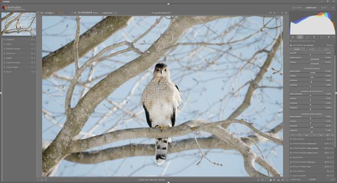 Screenshot 2026-02-23 170410