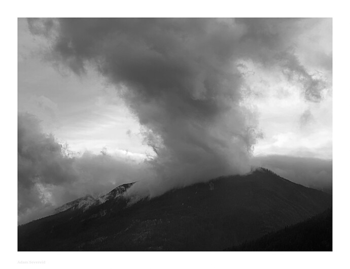 _DSC0562