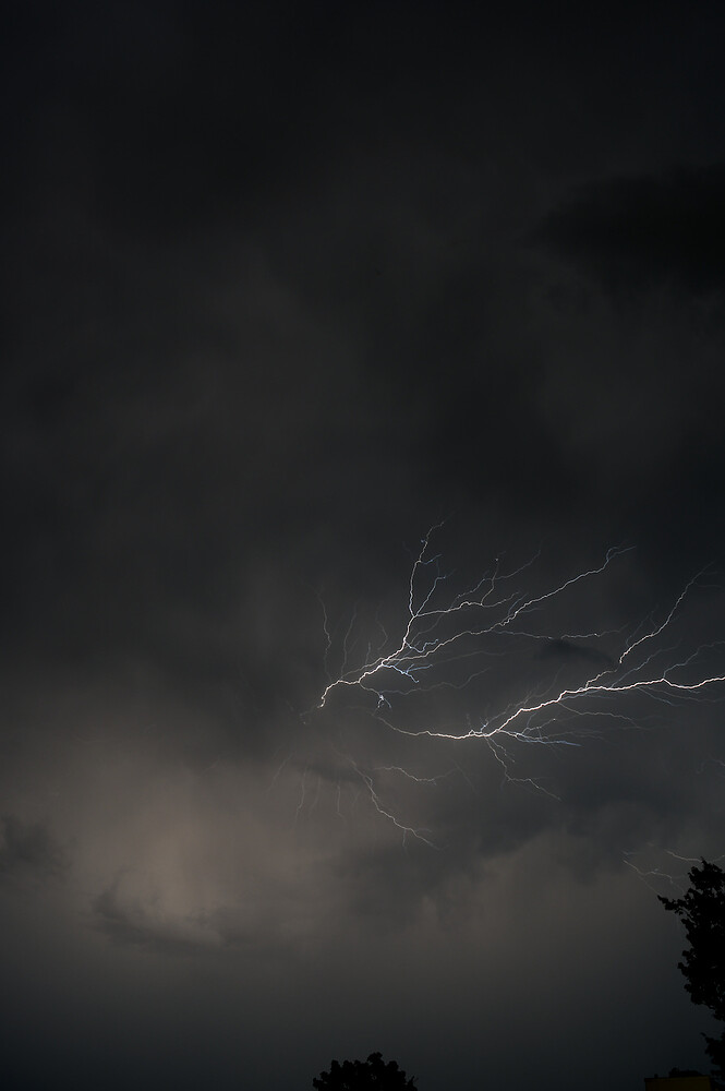 20260627-233939-DSC_0412-0.NEF