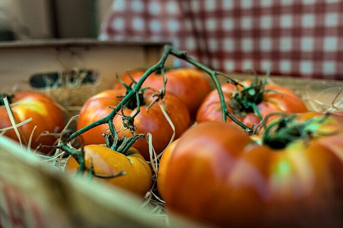 2022-08-07t15-40-50_1144