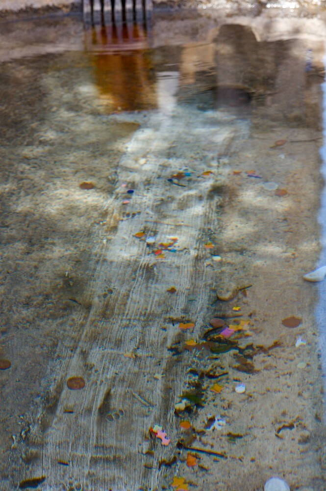 2026-04-19T15-04-35_IMG_2595_dt