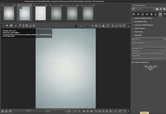 Rawtherapee58_3100_dev-NoFF