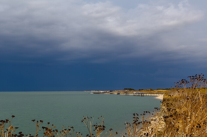 klein_IMG_7325