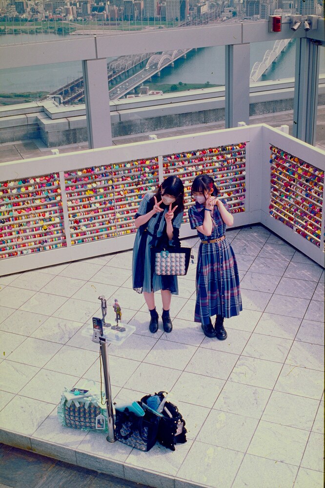 pr_DSC_1099 expired film colors