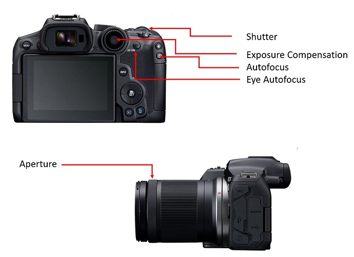 Canon R7 Custom Setup