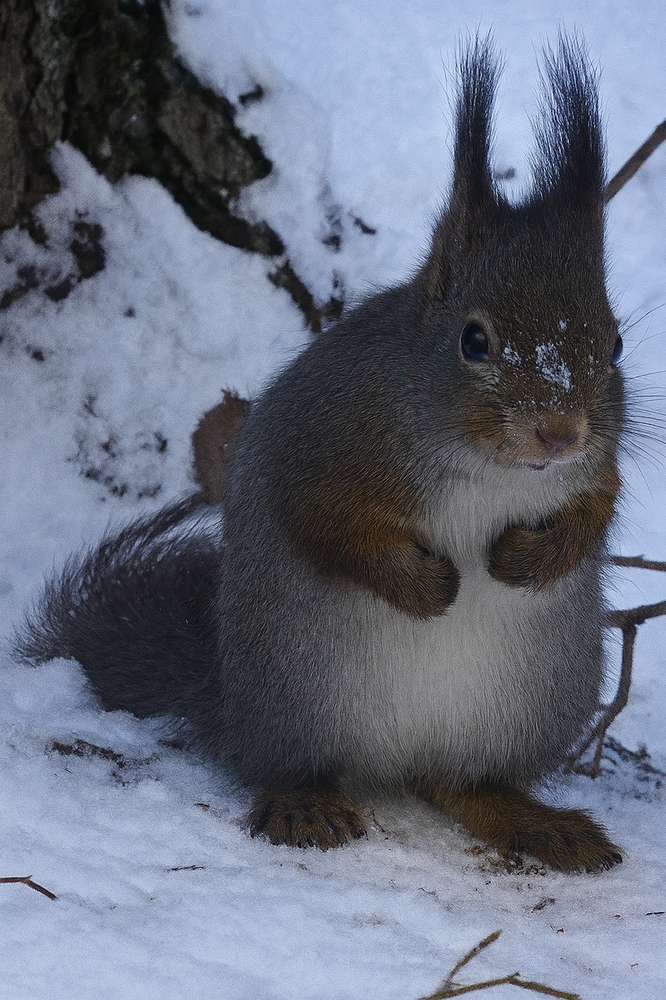 2025-09-25_19-17-59_586