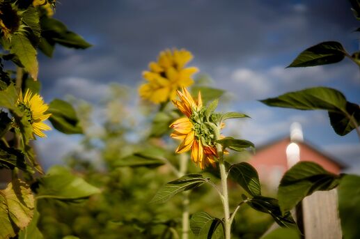 260905_183839_DSC07643