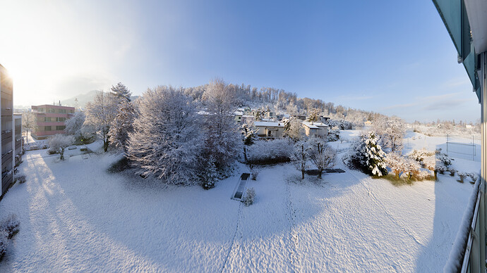 2022-12-11_10-37-28_DSC_0007-0042-panini-general_01