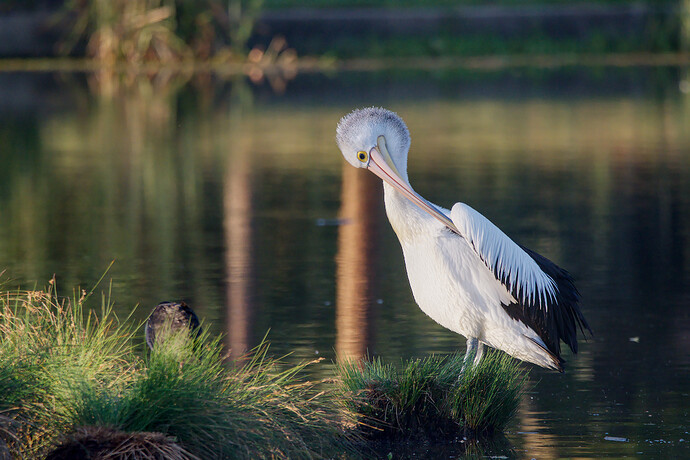 2025-12-06_05-27-47.80_DSC9889