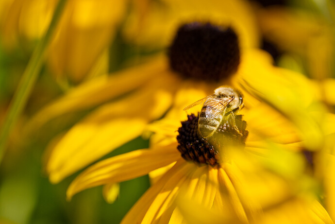 2023-08-15-DSCF1521_LR