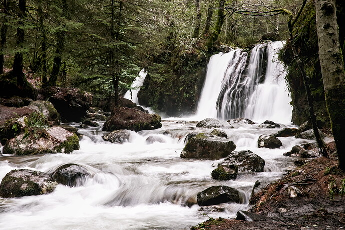 Coolalingo-Ireland - DSC08929-2026.01.31