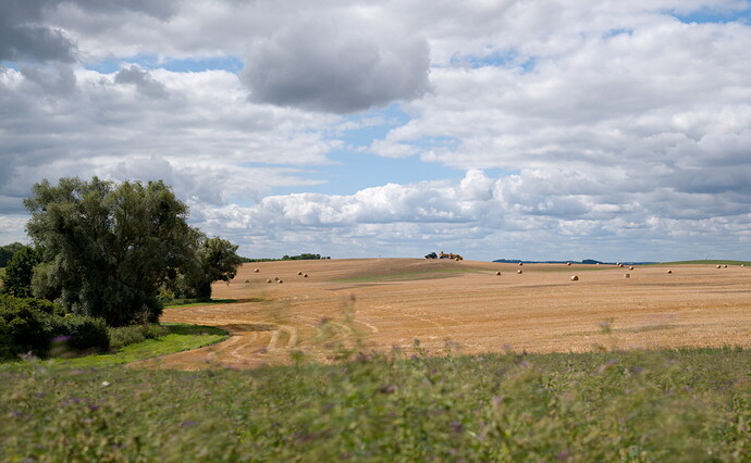 DSCF111514_01