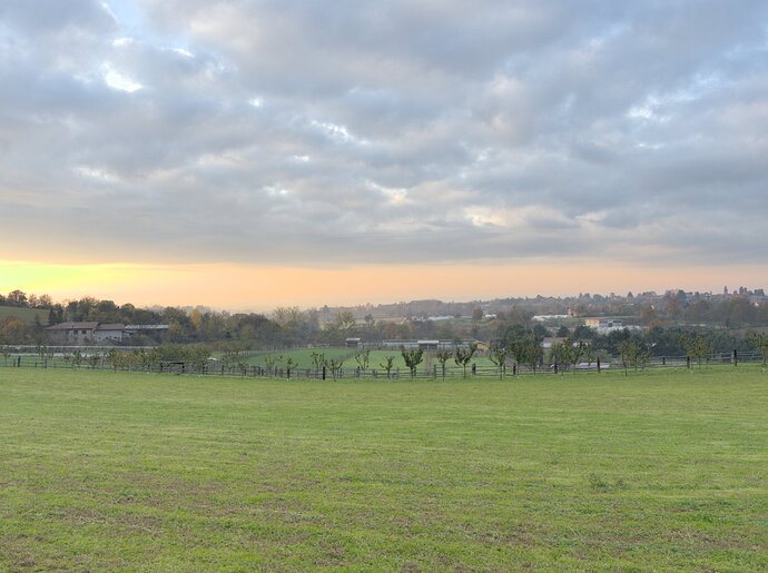 20221125_081712_0057