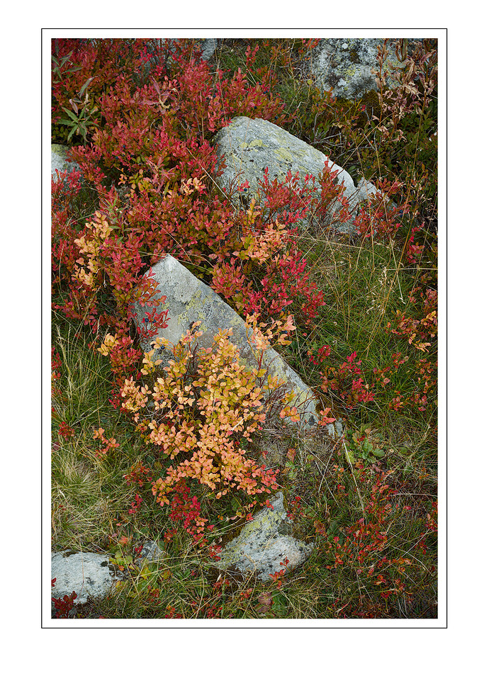 20250913_2025-09-13 nendaz_0091_01