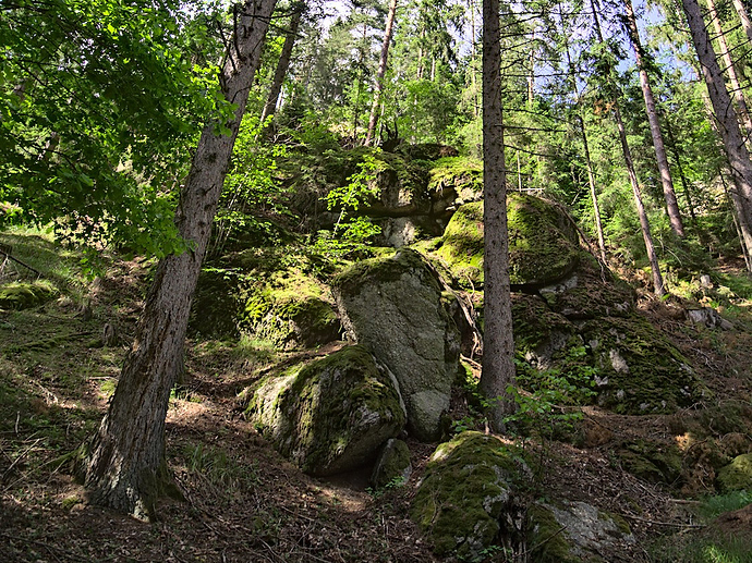 P6123264_cropped