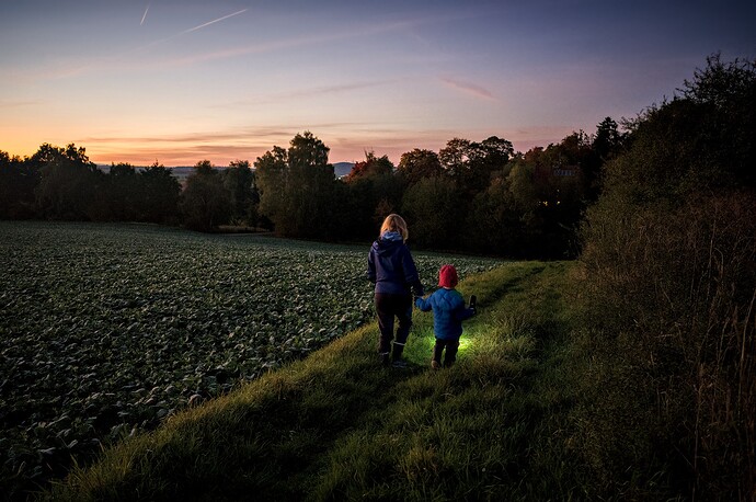 251013_190715_DSC05225