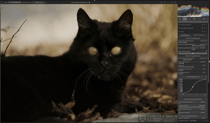 Bildschirmfoto_20251019_152813