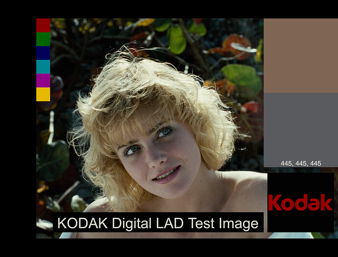 2383 Adobe