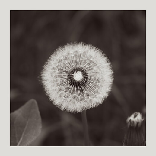 20240502-113156-008_0_01