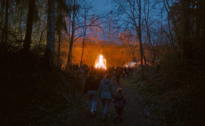 260404_202536_DSC09408