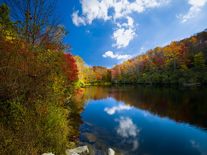2025-10-18 11.38.12 - Autumn in Appalachian