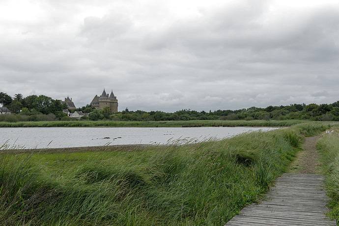 DSC09835_13.1.ARW.xmp